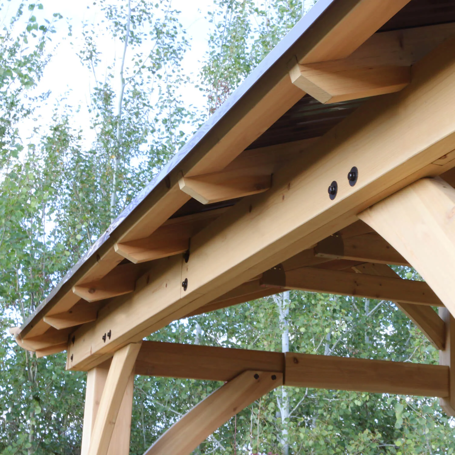 11 x 13 Carolina Pavilion - Image 6