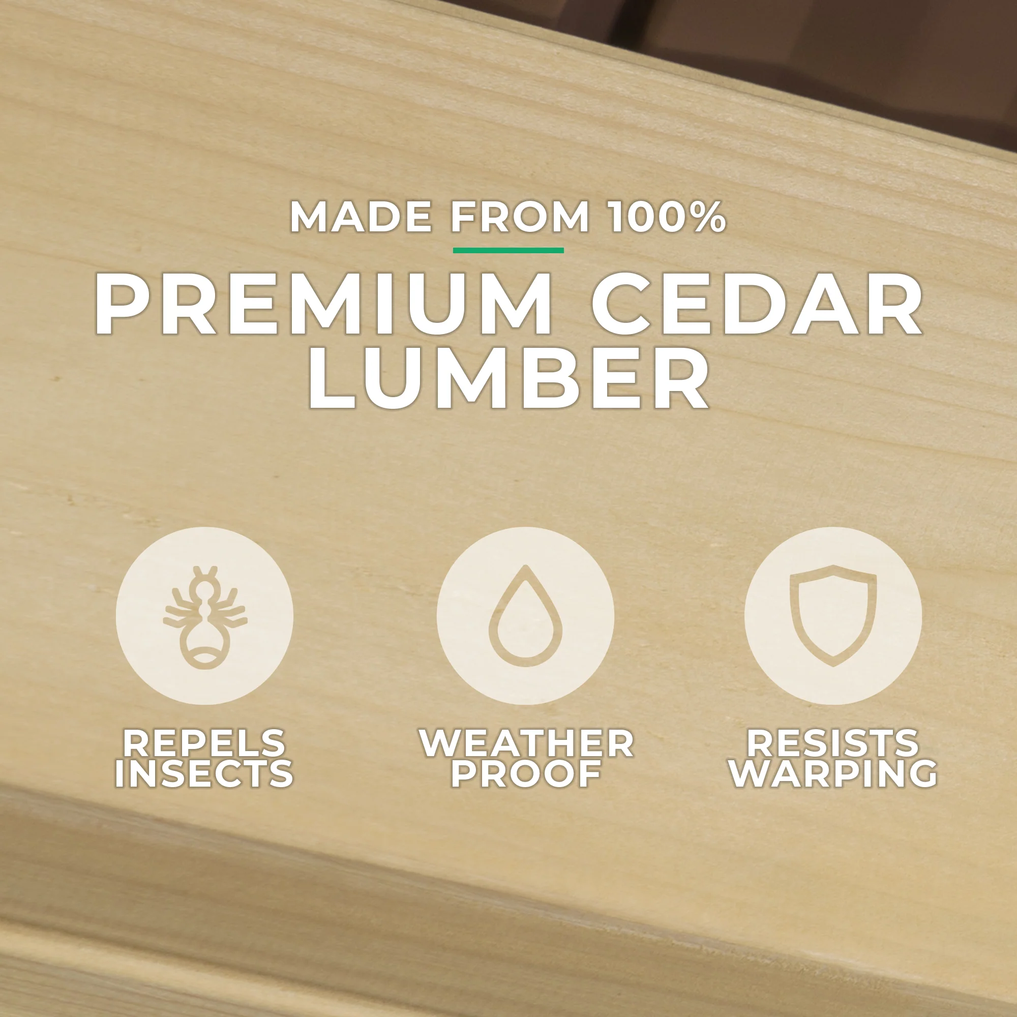 11 x 13 Carolina Pavilion - Image 7