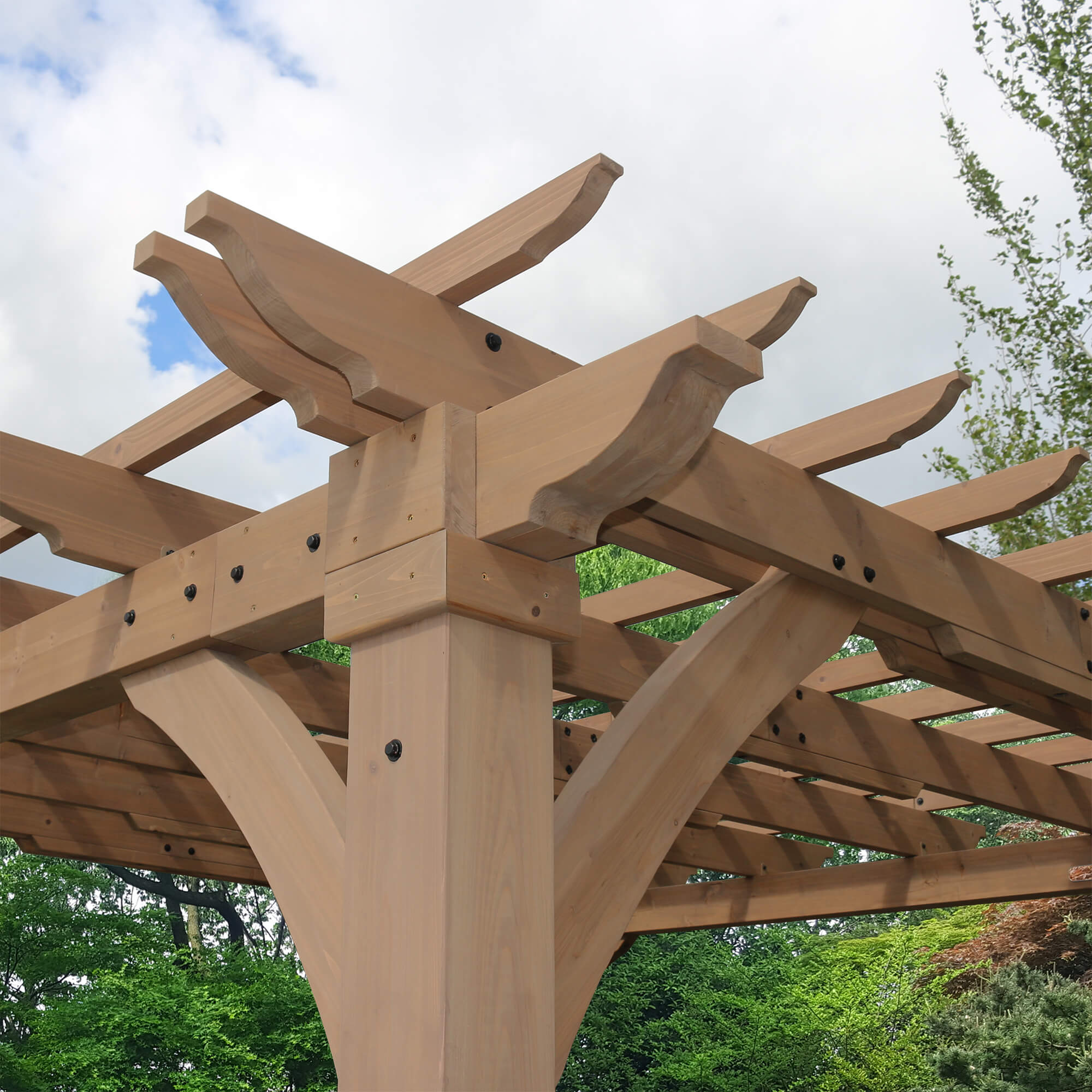 12 x 24 Pergola (Costco) - Image 5