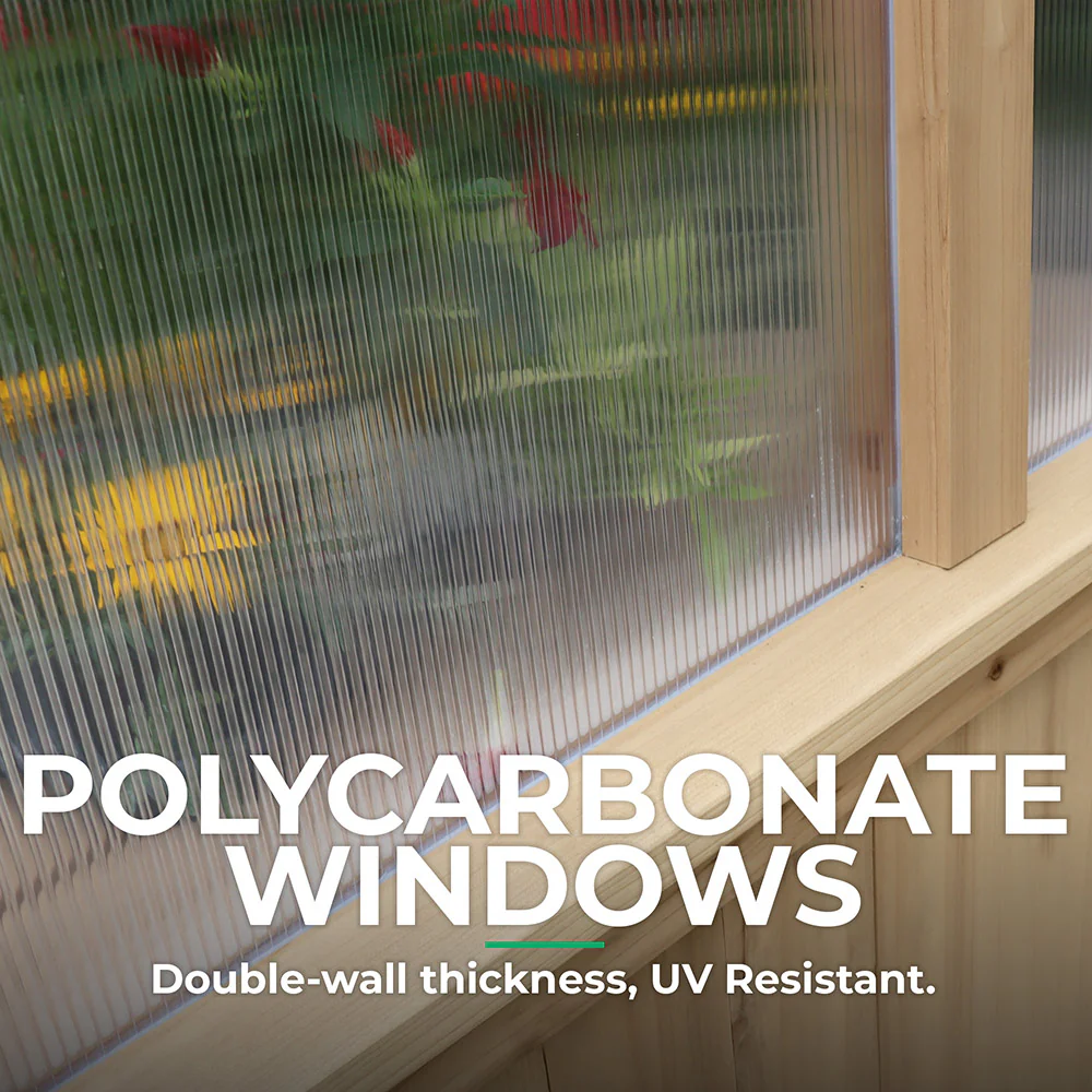 6.7 x 6 Meridian Greenhouse - Image 6