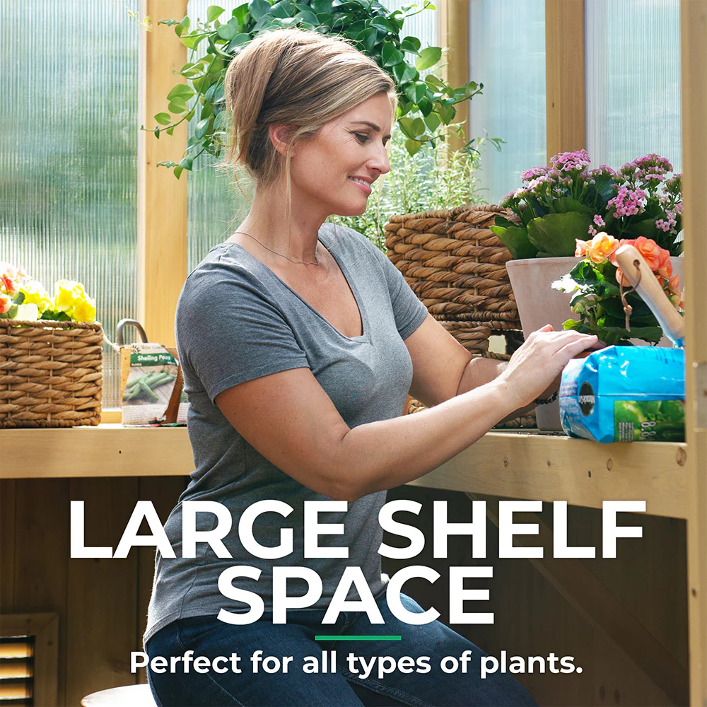 6.7 x 6 Meridian Greenhouse - Image 8