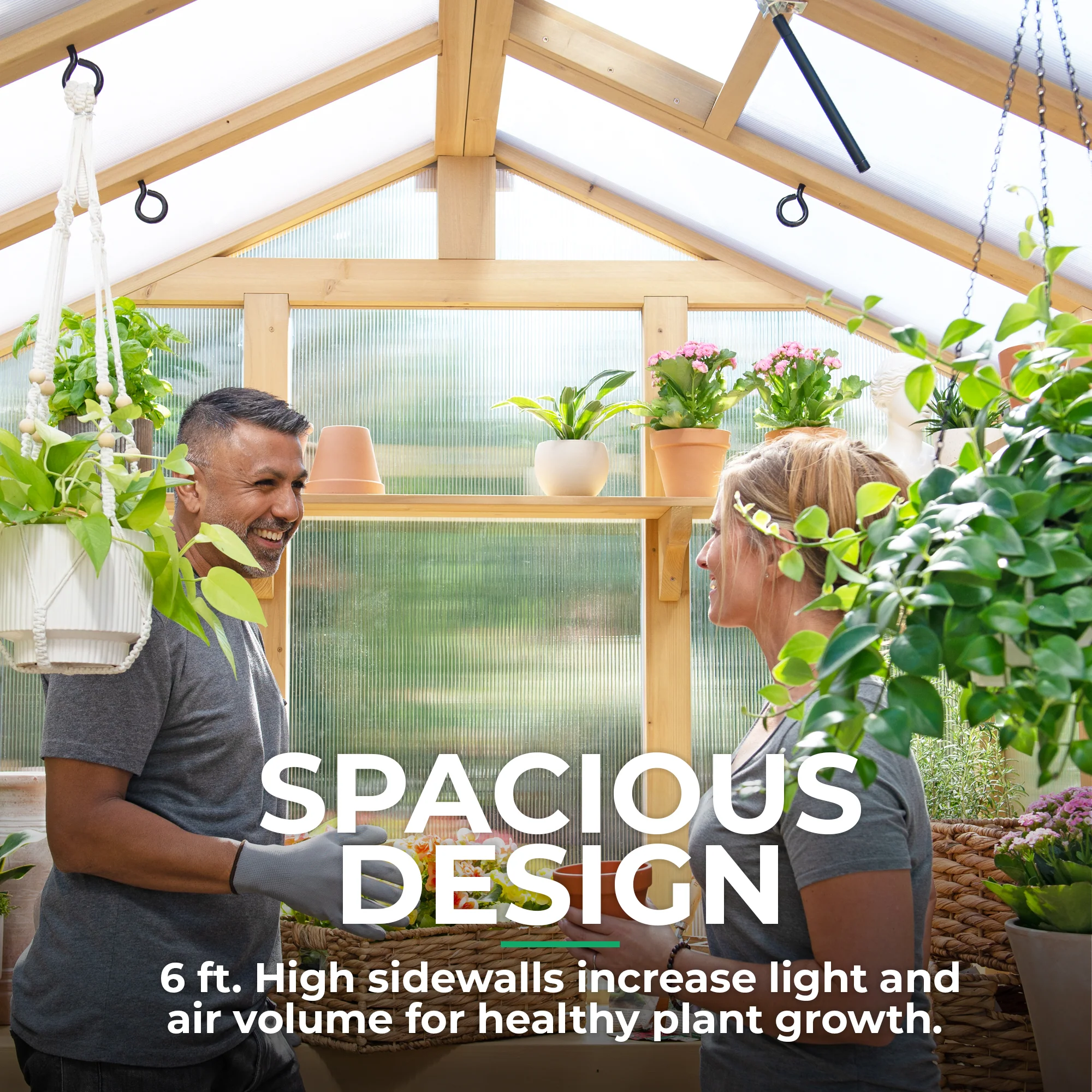 6.7' x 7.8' Meridian Greenhouse - Image 11