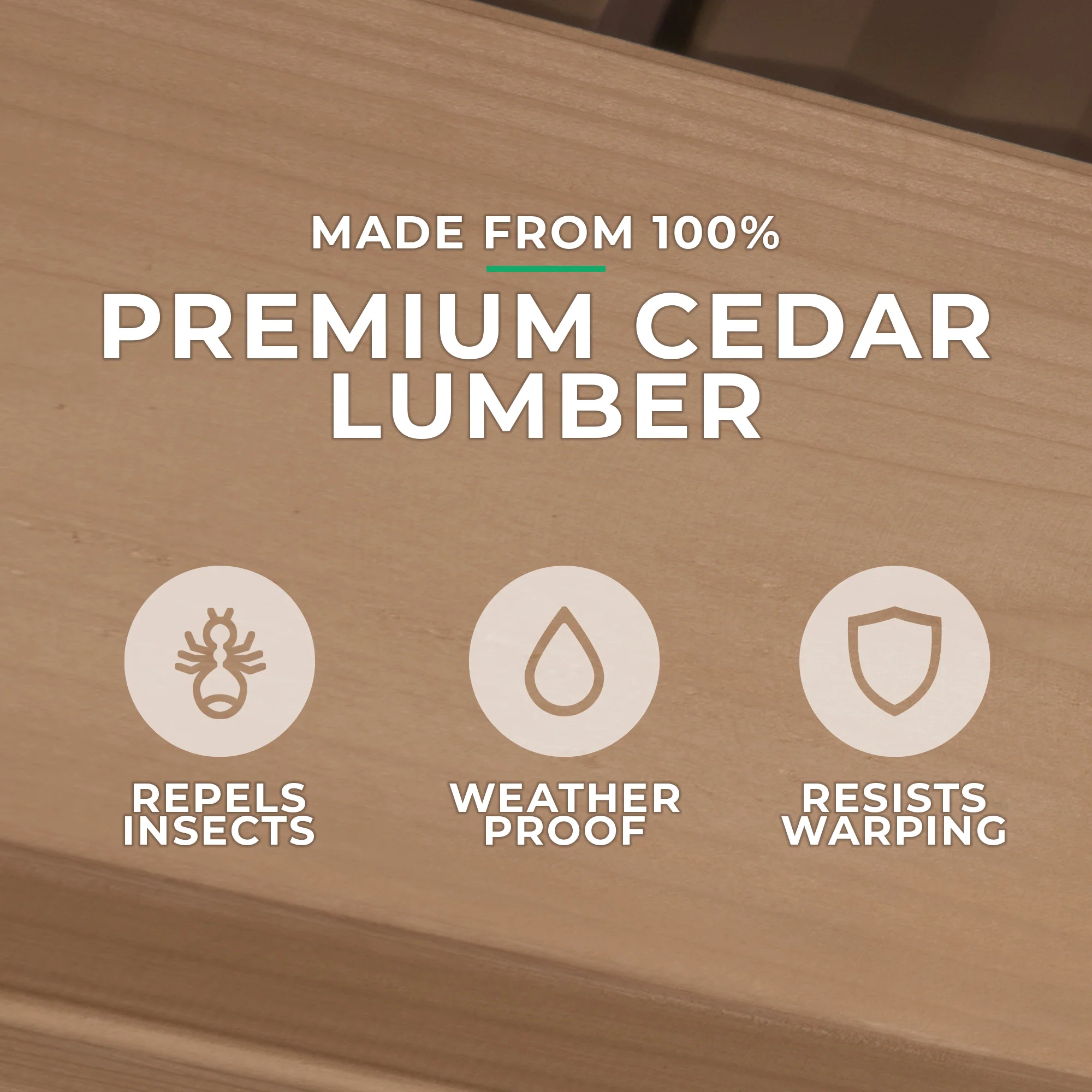 Backyard Grilling Pavilion - Image 6