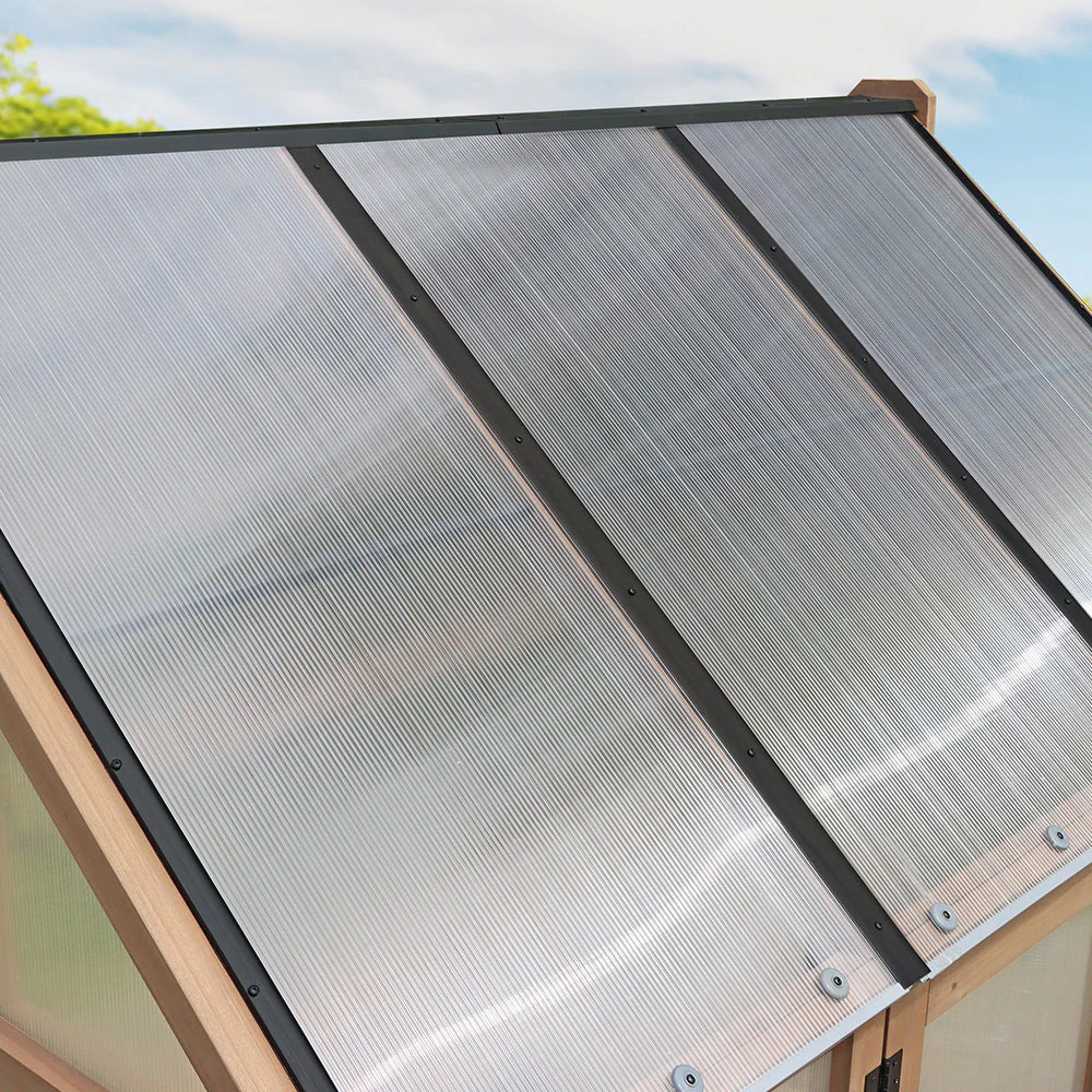 Club Greenhouse - Image 3