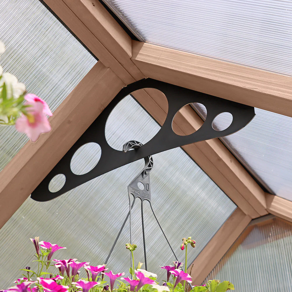 Club Greenhouse - Image 5