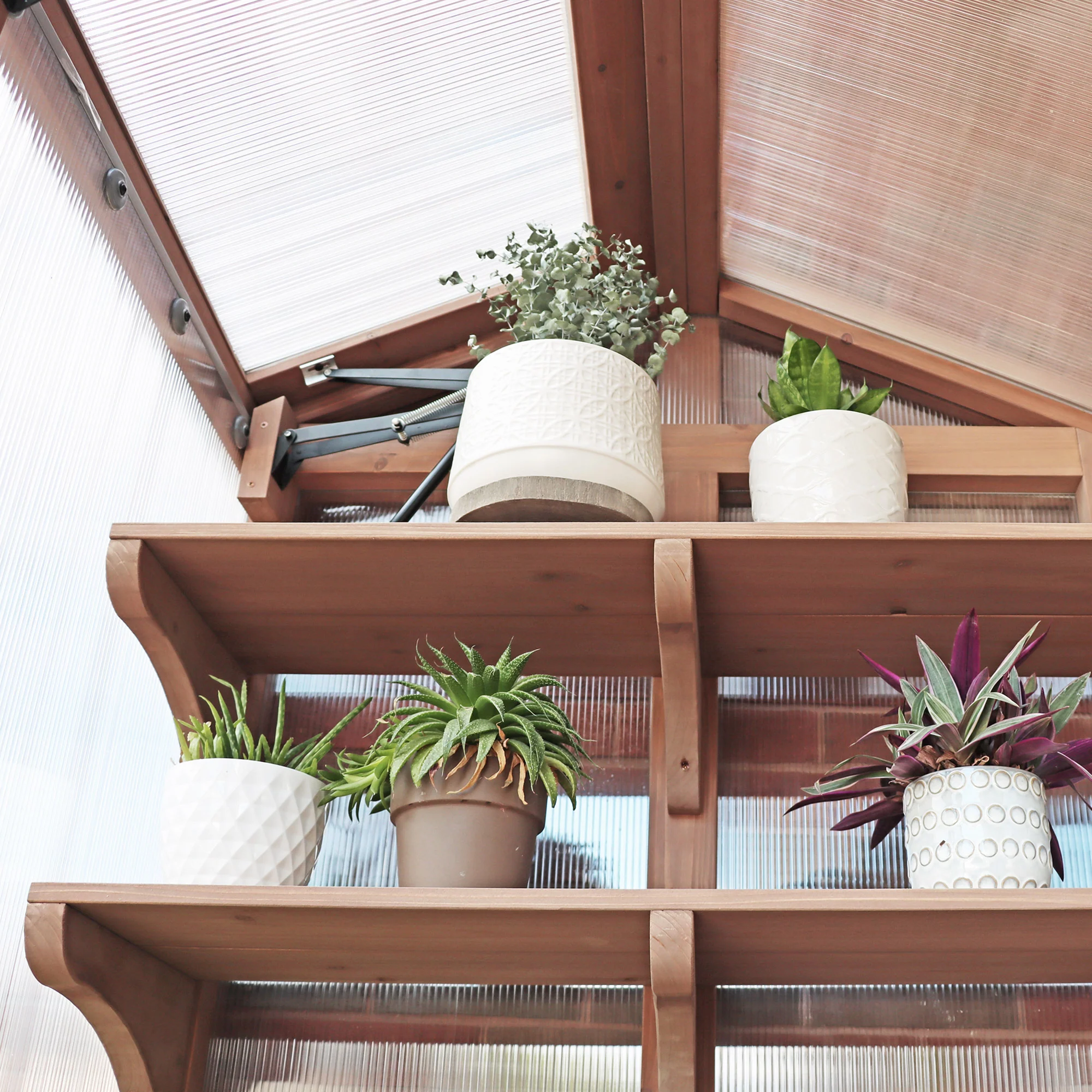 Urban Greenhouse - Image 4